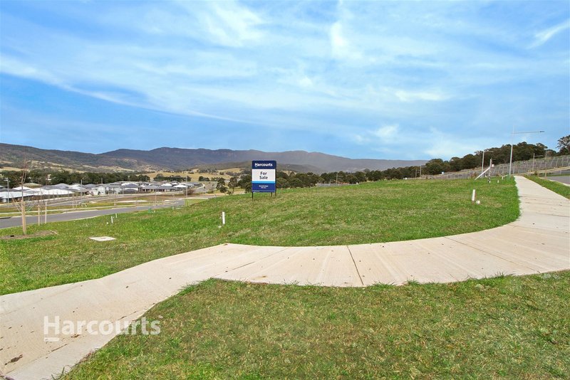 Photo - 8 Mcnevin Close, Calderwood NSW 2527 - Image 4