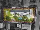 Photo - 8 Nandala Drive, Tanah Merah QLD 4128 - Image 2