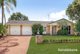 Photo - 8 Newmarch Place, Bligh Park NSW 2756 - Image 1