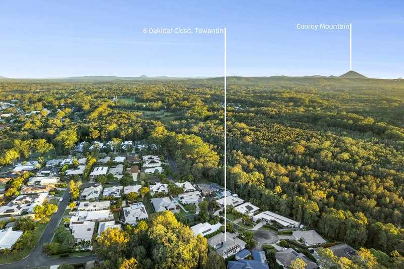 Photo - 8 Oakleaf Close, Tewantin QLD 4565 - Image 15