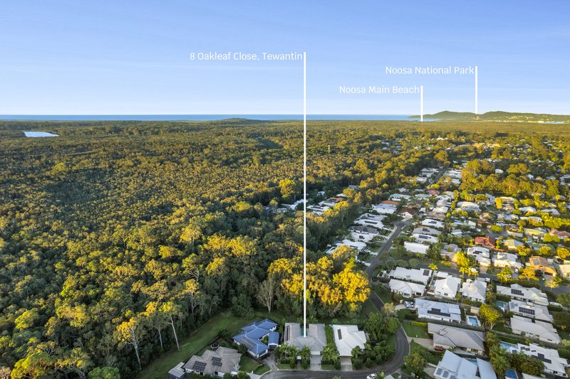 Photo - 8 Oakleaf Close, Tewantin QLD 4565 - Image 17
