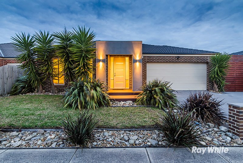 8 Olive Road, Lynbrook VIC 3975