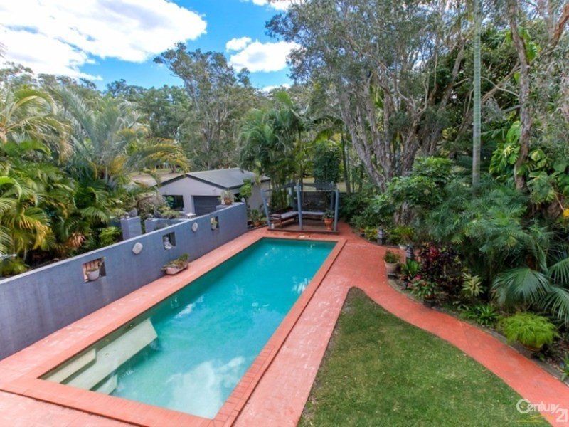 Photo - 8 Oogar Street, Maroochydore QLD 4558 - Image 8