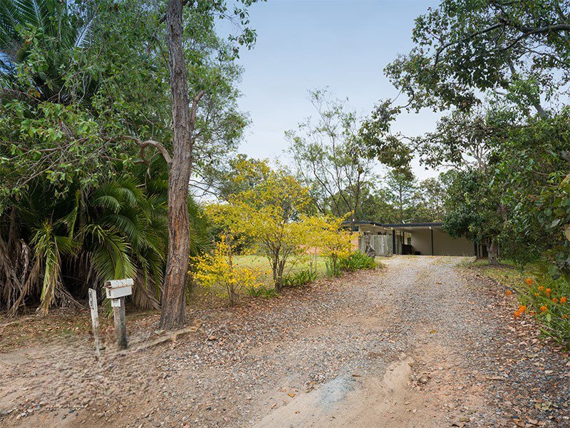 Photo - 8 Osborne Court, Loganholme QLD 4129 - Image 4