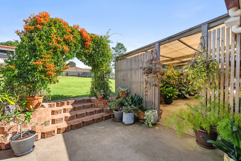Photo - 8 Osprey Drive, Craignish QLD 4655 - Image 22