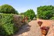 Photo - 8 Osprey Drive, Craignish QLD 4655 - Image 29