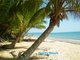 Photo - 8 Pacific View Drive, Wongaling Beach QLD 4852 - Image 13