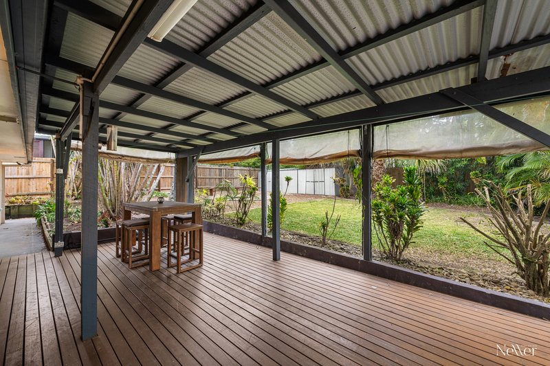 Photo - 8 Parakeet Crescent, Peregian Beach QLD 4573 - Image 5