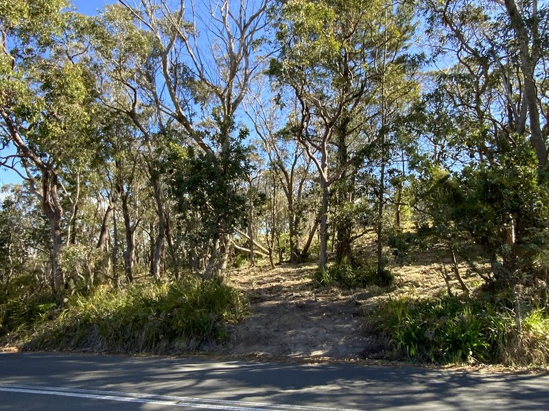 Photo - 8 Park Road, Woodford NSW 2778 - Image 4