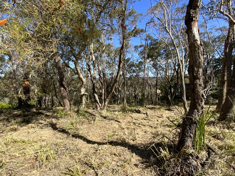 Photo - 8 Park Road, Woodford NSW 2778 - Image 5