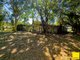 Photo - 8 Penda Close, Manoora QLD 4870 - Image 8