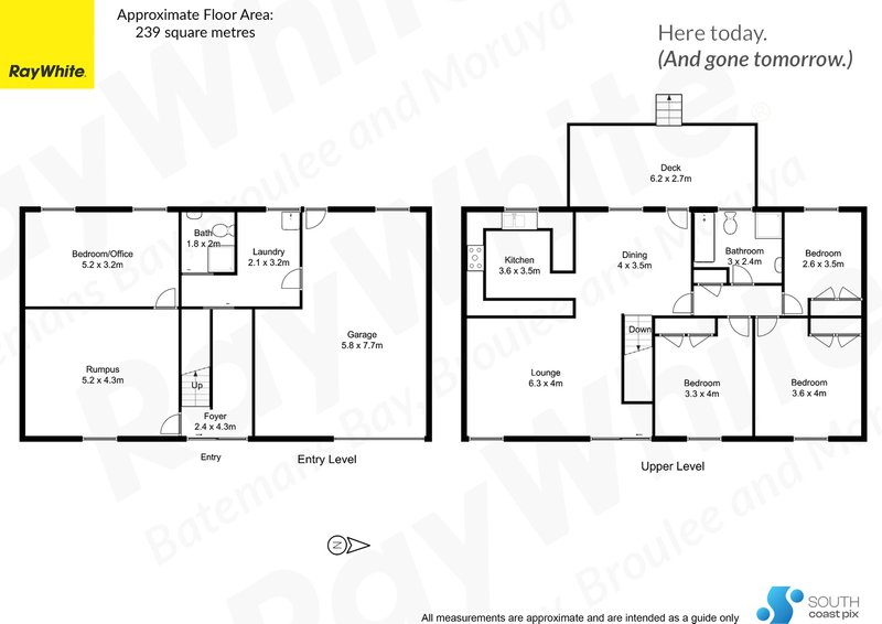 Photo - 8 Penguin Place, Catalina NSW 2536 - Image 23