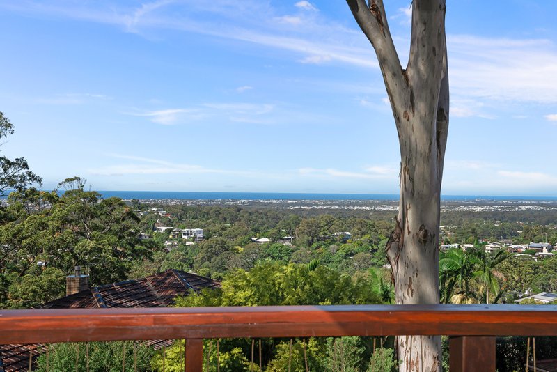 Photo - 8 Phillips Street, Buderim QLD 4556 - Image 4