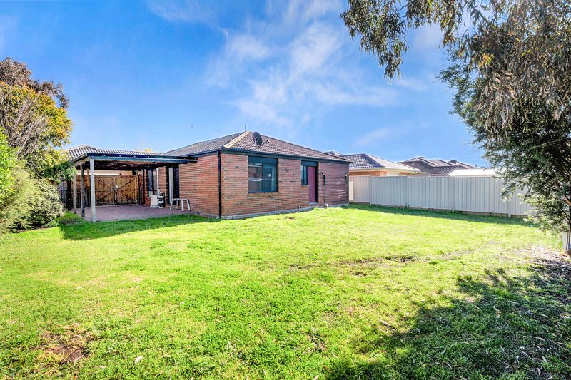 Photo - 8 Pitman Street, Craigieburn VIC 3064 - Image 13