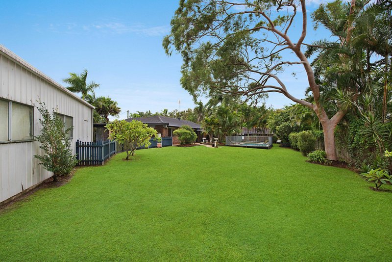 Photo - 8 Protea Place, Kuluin QLD 4558 - Image 12