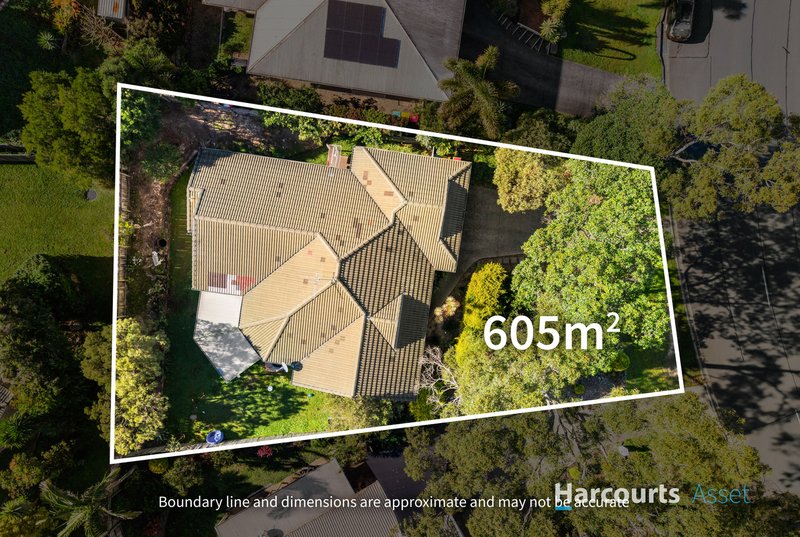 Photo - 8 Reedmans Road, Ormeau QLD 4208 - Image 15