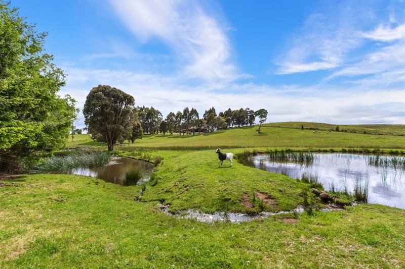 Photo - 8 Reeves Road, Lower Barrington TAS 7306 - Image 14