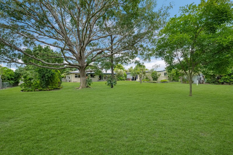 Photo - 8 Rivergum Court, Condon QLD 4815 - Image 14