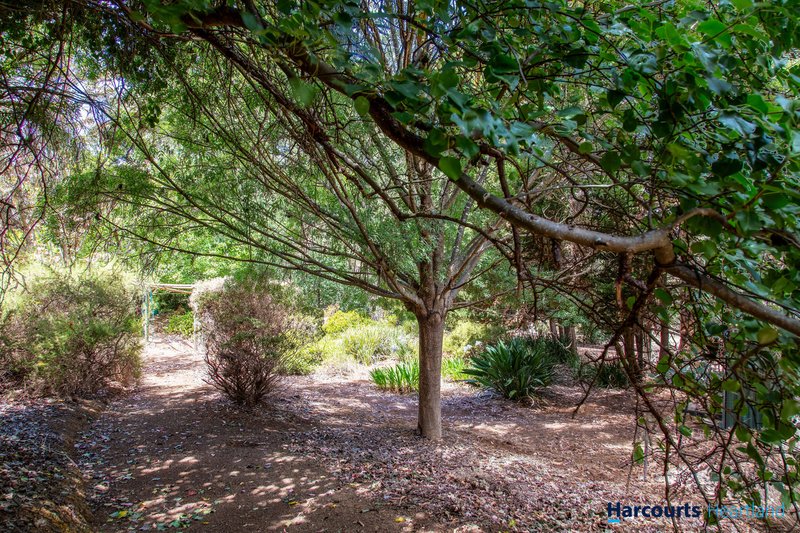 Photo - 8 Rosella Rise, Bridgetown WA 6255 - Image 31