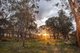 Photo - 8 Ruthven Circuit, Wodonga VIC 3690 - Image 19