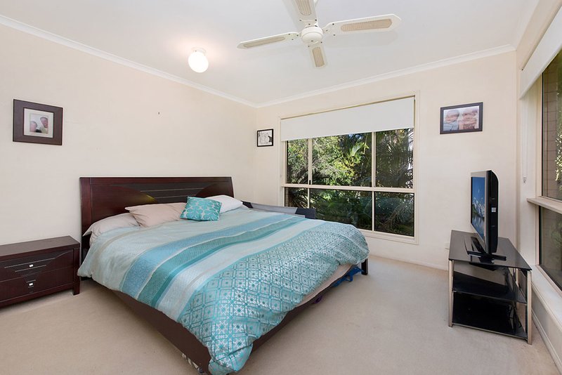 Photo - 8 Sam White Drive, Buderim QLD 4556 - Image 5