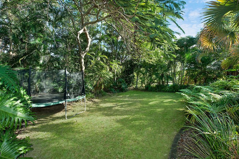 Photo - 8 Sam White Drive, Buderim QLD 4556 - Image 8