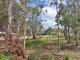 Photo - 8 Sandpiper Street, River Heads QLD 4655 - Image 12