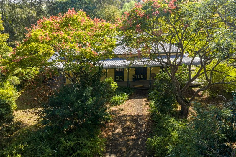 Photo - 8 Sandy Creek Road, Mount Vincent NSW 2323 - Image 1