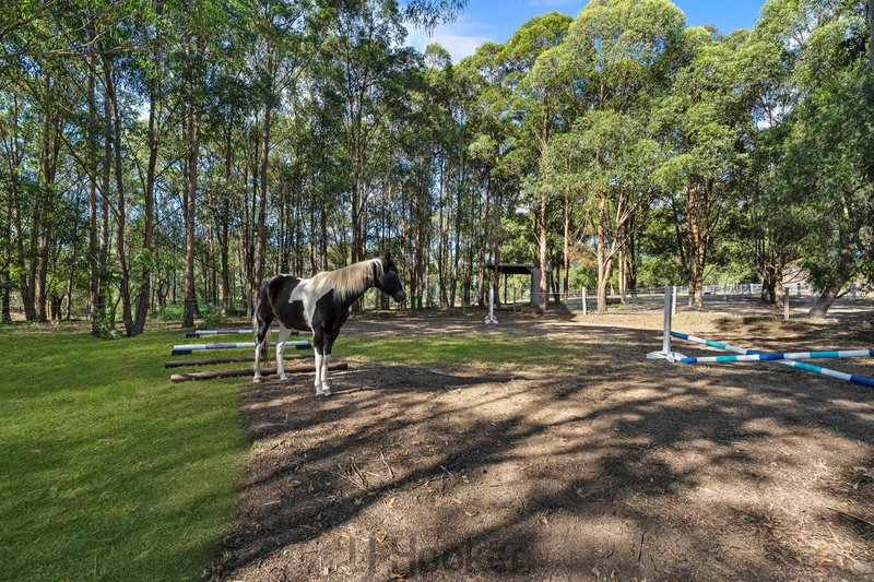 Photo - 8 Sandy Creek Road, Mount Vincent NSW 2323 - Image 12