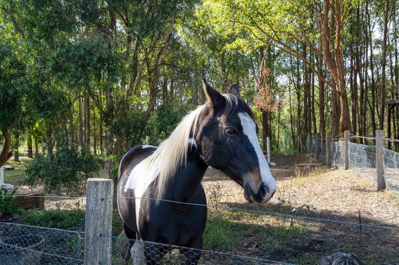 Photo - 8 Sandy Creek Road, Mount Vincent NSW 2323 - Image 16