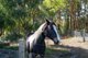 Photo - 8 Sandy Creek Road, Mount Vincent NSW 2323 - Image 16