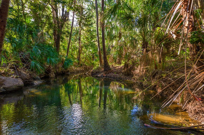 Photo - 8 Scrubby Creek Road, Scrubby Creek QLD 4570 - Image 14