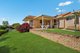 Photo - 8 Sequoia Court, Banora Point NSW 2486 - Image 1