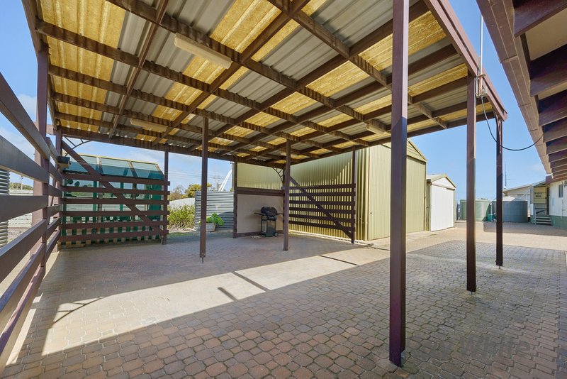 Photo - 8 Sheoak Road, The Pines SA 5577 - Image 21