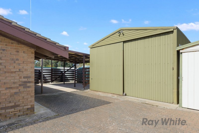 Photo - 8 Sheoak Road, The Pines SA 5577 - Image 23