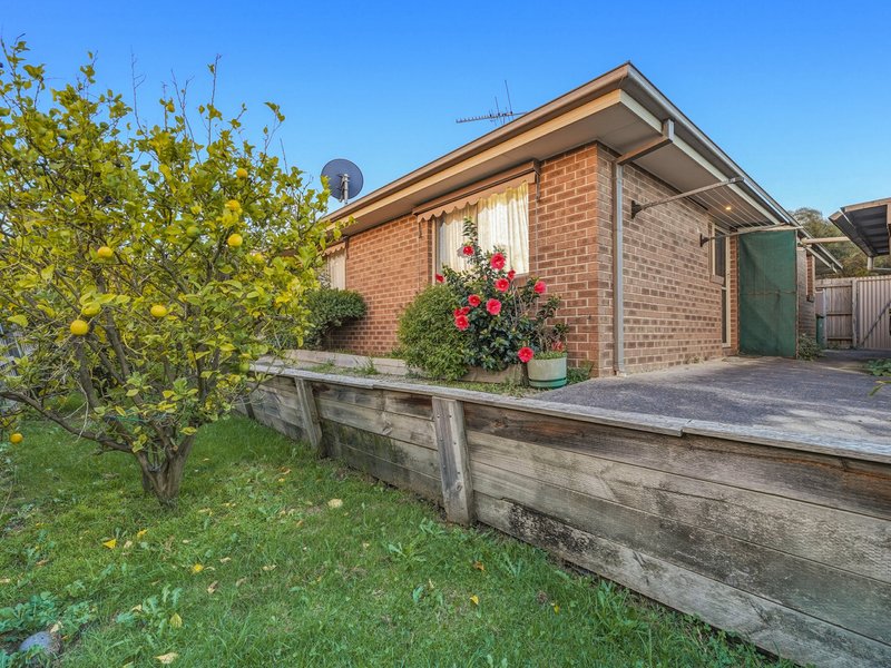 Photo - 8 Snow Gum Court, Pakenham VIC 3810 - Image 18