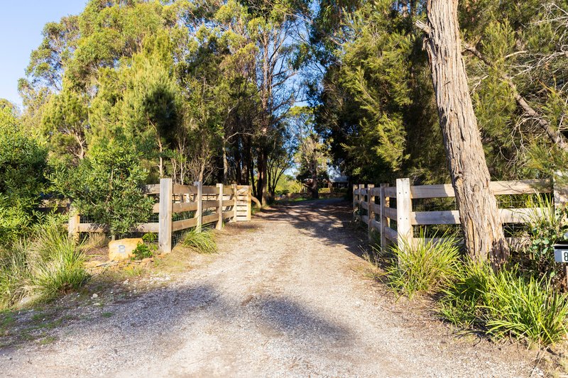 Photo - 8 Springfield Park, Northdown TAS 7307 - Image 10