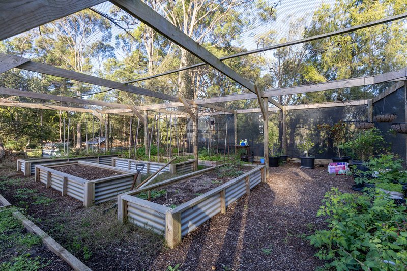Photo - 8 Springfield Park, Northdown TAS 7307 - Image 22