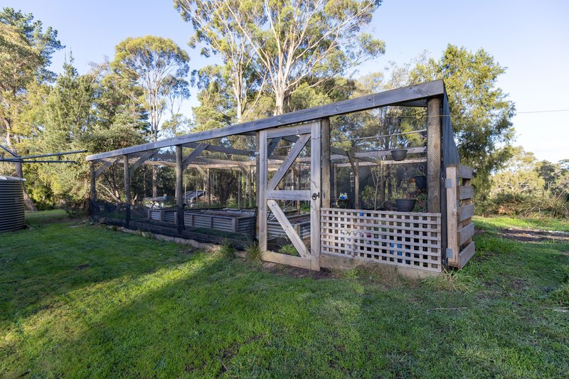Photo - 8 Springfield Park, Northdown TAS 7307 - Image 23