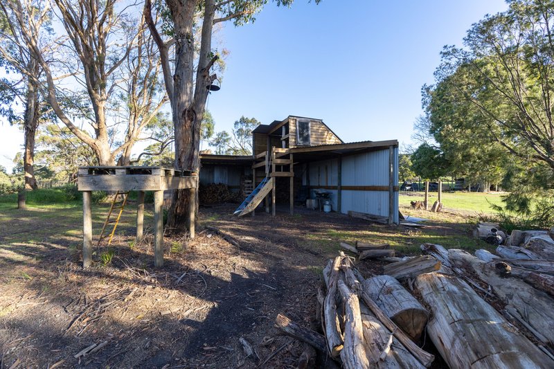 Photo - 8 Springfield Park, Northdown TAS 7307 - Image 24