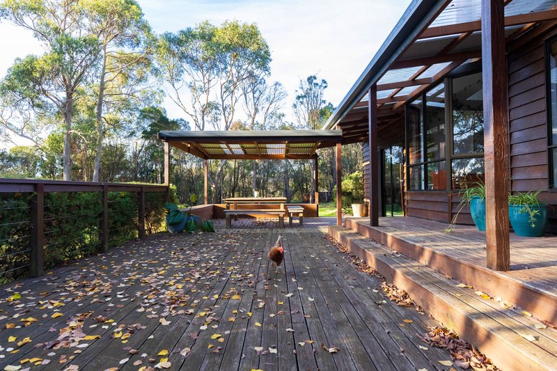 Photo - 8 Springfield Park, Northdown TAS 7307 - Image 27