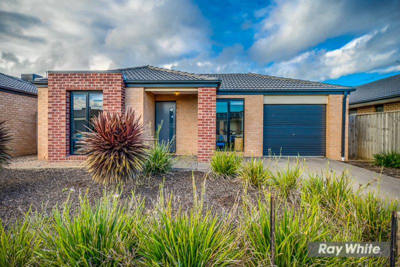 8 Springleaf Road, Tarneit VIC 3029