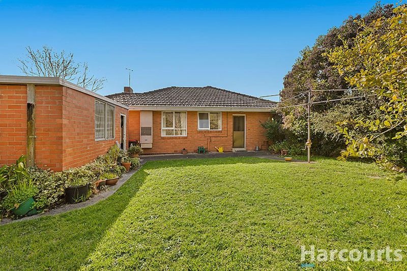 Photo - 8 St Albans Street, Mount Waverley VIC 3149 - Image 5