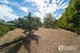 Photo - 8 Summit Drive, Devon Hills TAS 7300 - Image 16