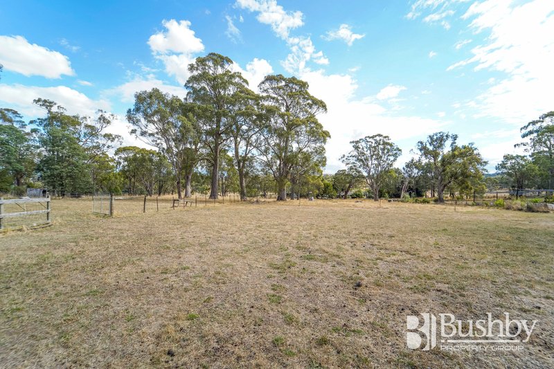 Photo - 8 Summit Drive, Devon Hills TAS 7300 - Image 23