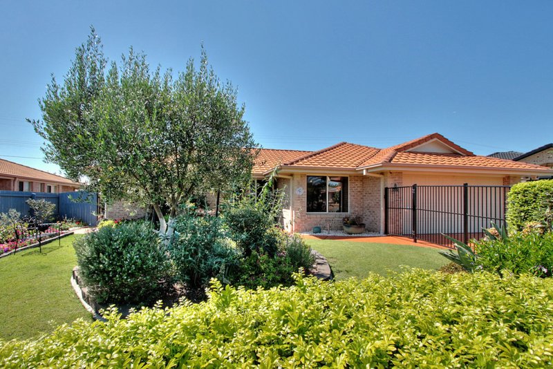 Photo - 8 Sunhaven Crescent, Kuraby QLD 4112 - Image 17