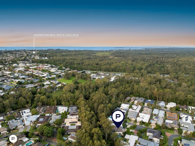 Photo - 8 Swan Court, Wakerley QLD 4154 - Image 35