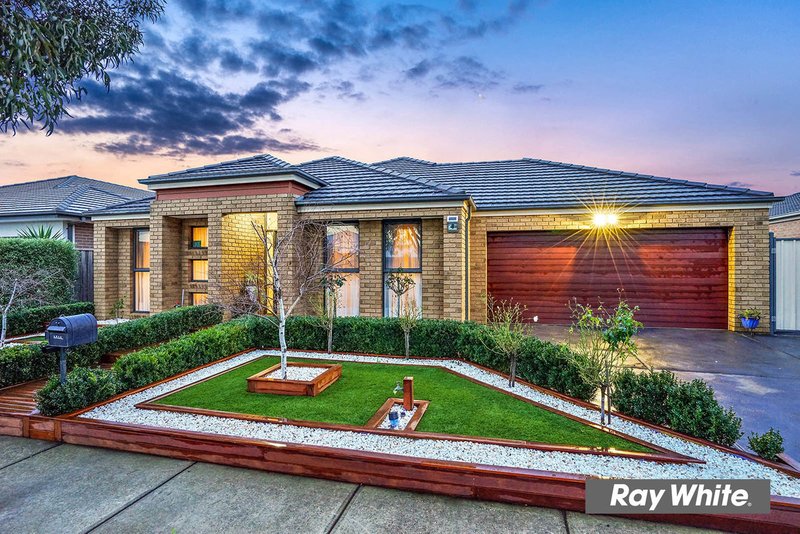 Photo - 8 Swordgrass Avenue, Tarneit VIC 3029 - Image 3