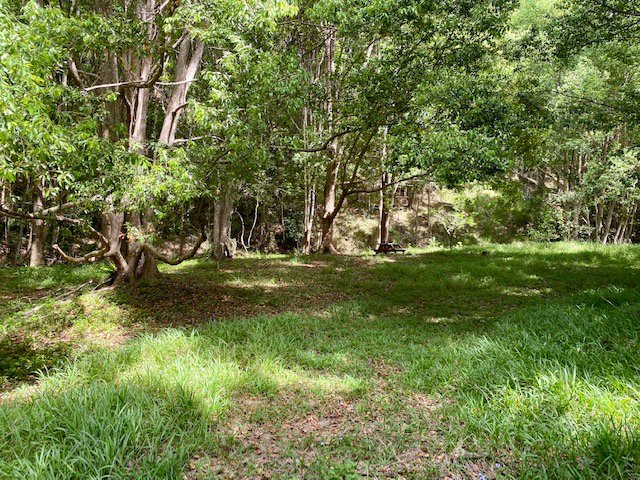 Photo - 8 Tallowood Terrace, Currumbin Valley QLD 4223 - Image 12