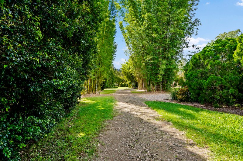 Photo - 8 Teatree Close, Samford Valley QLD 4520 - Image 28